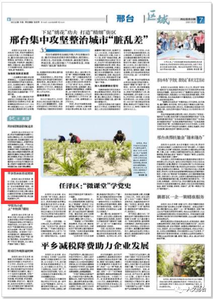 机器人罗博